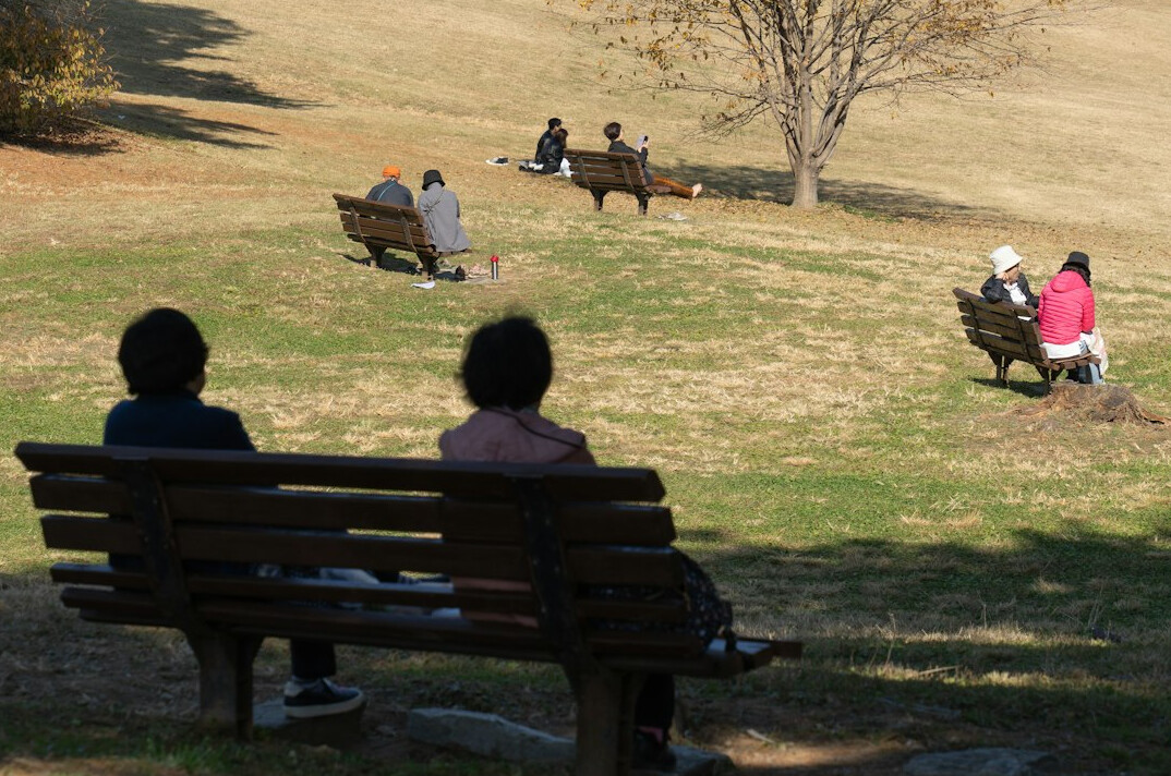 diverse people in park